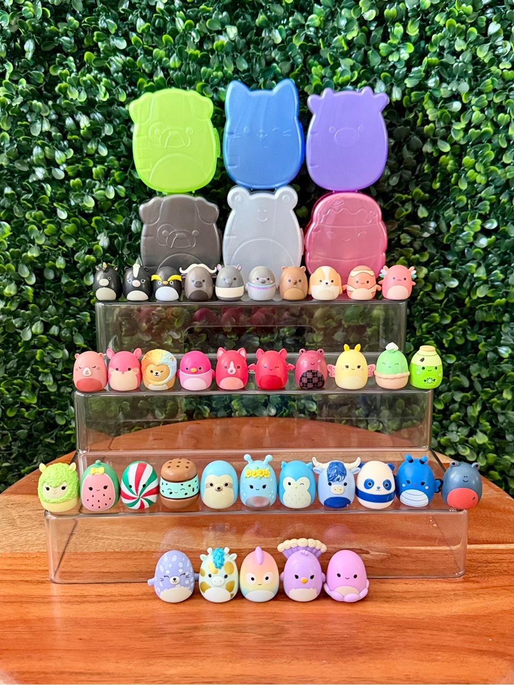 Squish-a-longs Bundle